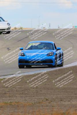 media/May-05-2023-PCA Central Coast (Fri) [[d16b5b411f]]/Blue Group/Session 3 (Outside Grapevine)/